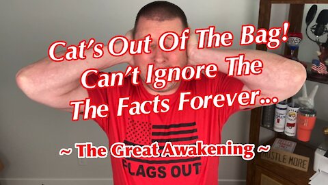 Cat’s Out Of The Bag! Can’t Ignore The Facts Forever.. ~ The Great Awakening ~