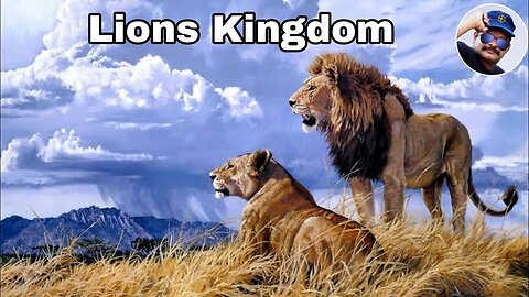 The Lion - Lion Safari - Lions Nature - Lion King - Lions Fight - Lions Hunting - Jungle Janwar yt