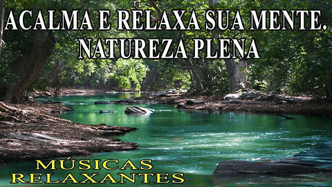 Relaxe com a Natureza Plena. Acalma e Relaxa sua Mente. Músicas Relaxantes