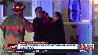 Bellevue cats wake owners up during fire