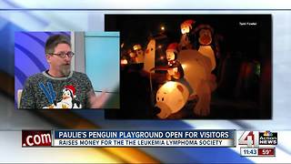 Paulie’s Penguin Playground open for visitors