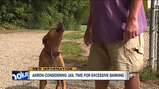 Akron city council members push back on jail time for owners of barking dogs