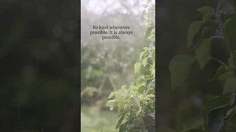 The Power of Kindness: Making Kindness Possible in Every Moment