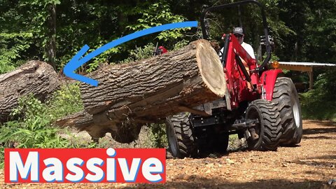 Land Clearing with a Tractor, Chainsaw, Wood Chipper & Labor!