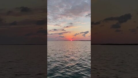 Sunrise on the Water #fishing #sunrise #shorts