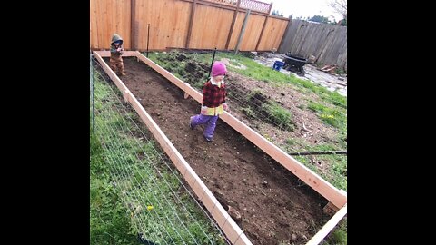 Raised Garden Beds - Simple and Easy - Backyard Urban Garden