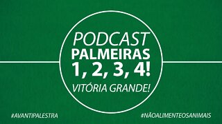 PALMEIRAS VENCE,CONVENCE E LIDERA O CAMPEONATO BRASILEIRO!