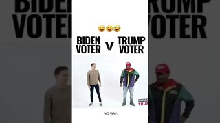 Biden voter vs Trump voter
