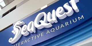 Animal Control cracks down on Las Vegas SeaQuest
