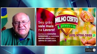 Lavoro: Saiba como funciona a operação de Bater e Hedge para o milho