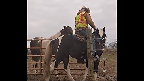 Rain - progress - working the gate 21 Dec 2023