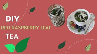 Red Raspberry Leaf Tea