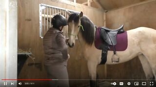 How NOT To Saddle A Horse - Dangerous Practices That Can Get You Hurt