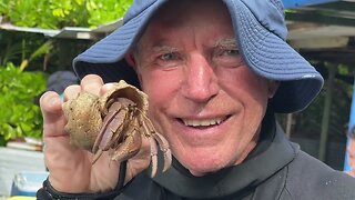 Ever Raced Hermit Crabs? - Cocos Island - 60 Plus Influencers - Irene and Tony Isaacson