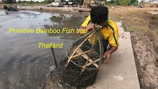Primitive Bamboo basket fish trap in Thailand