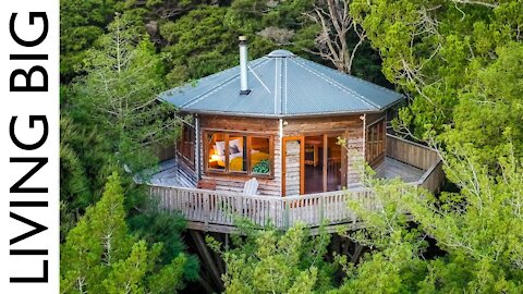 The Ultimate Forest Escape - A Spectacular Treehouse Airbnb