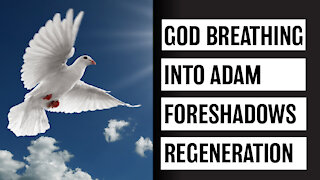 The Breathe of God & Spirit of God | Genesis 2:7