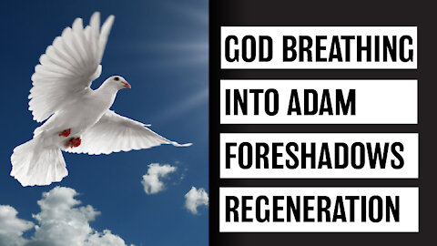 The Breathe of God & Spirit of God | Genesis 2:7