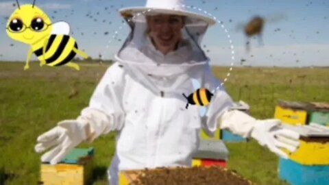 Les 07 conseils clés en apiculture pour des abeilles heureuses
