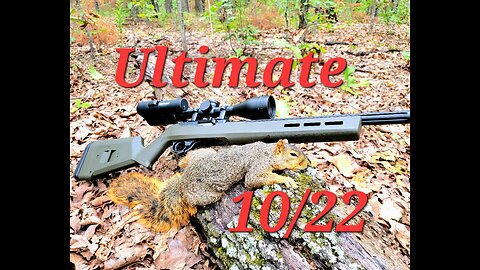 10/22 Squirrel hunting