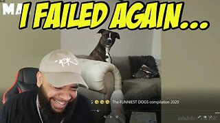 Try Not To Laugh Challenge You will have TEARS IN YOUR EYES FUNNIEST DOGS compilation