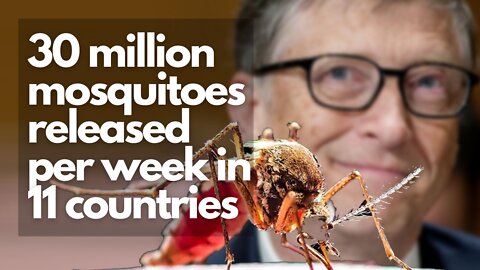 30 million mosquitoes released per week in 11 countries