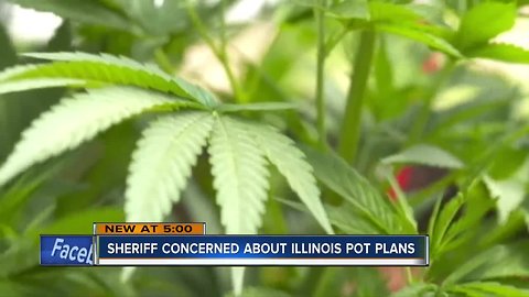 Kenosha County Sheriff concerned about impact of Illinois' recreational pot proposal