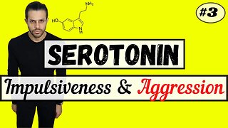 How Serotonin Reduces Impulsiveness and Aggression (The Serotonergic Series #3)