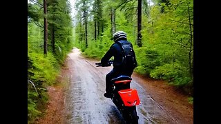 Sloppy Rainy Ebike Ride at the Pine Marten Trails ( Ariel Rider Grizzly )