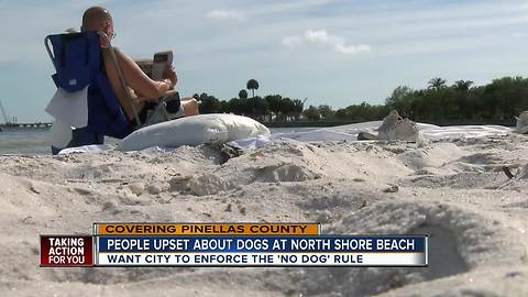 St Pete residents fuming over dogs at North Shore Beach