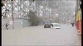 Wild Moments from the Massive Flooding in NYC, As Even a Zoo Sea Lion Went for a Jaunt