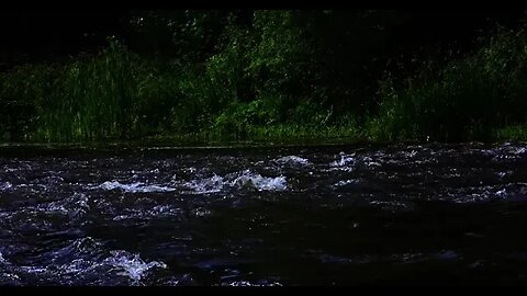 Gentle Raging River Sounds | 10 Hour Video