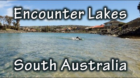 Encounter Lakes Marathon Swim, South Australia (Physical Challenge #1)
