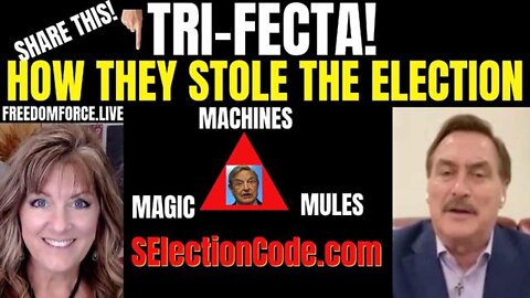 New Freedom Force Battalion: SElection Code - How they Stole the Election - Mike Lindell 5-31-22