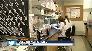 UWM researchers work toward Alzheimer's cure