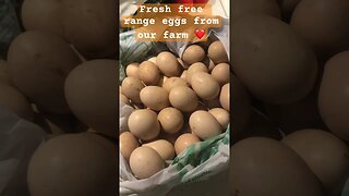 Fresh free range eggs from our farm ❤️