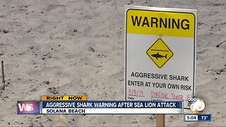 Aggressive shark warning after sea lion attack