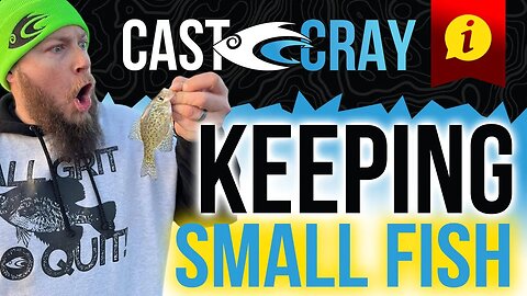 Why & When Should You Keep Small Fish?