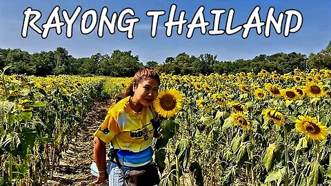 RAYONG THAILAND HAS SO MUCH TO SEE. #countryside