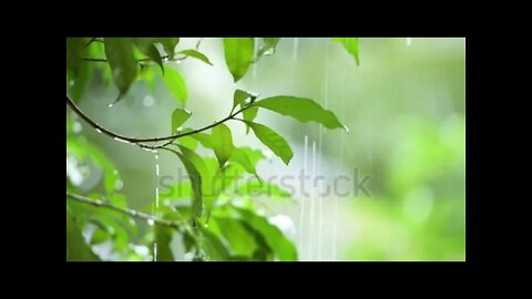 HEAVY RAIN - (HEAVY RAIN GOOD TOO SLEEP AND RELAX) 1