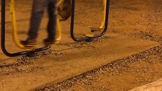 Loyal Pooch Balances On A Swing As Owner Works Out