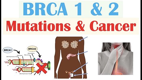 BRCA1 and BRCA2 Mutations & Cancer (Types of Cancer, and Who’s Most At Risk)