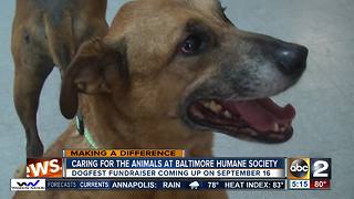 Baltimore Humane Society gives every animal the chance for a healthy life and good home