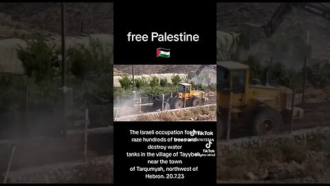 Occupation #Raze 100’s Of #Trees NW #Hebron #illegal #internationallaw #WestBank #Palestine