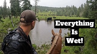 Moving Cows in a Mountain Thunderstorm!