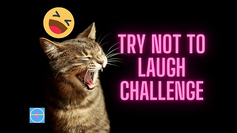 Critter Chuckles: The Ultimate Try Not to Laugh Challenge 🐾😂