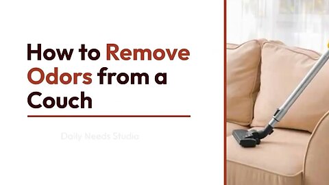 How to Remove Odors from a Couch - Daily Needs Studio