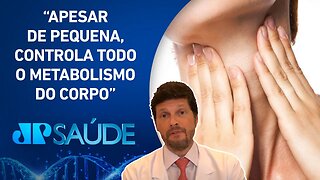 Como a saúde do intestino está ligada à tireoide? | Dr. Filippo Pedrinola