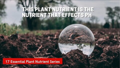 How Hydrogen Effects The Soil Ph & Ultimately ALL Nutrient Uptake! 17 Essential Plant Nutrients ep14