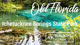 🌳 Exploring Ichetucknee Springs State Park: Natural Wonders of Florida 2023 | 4K